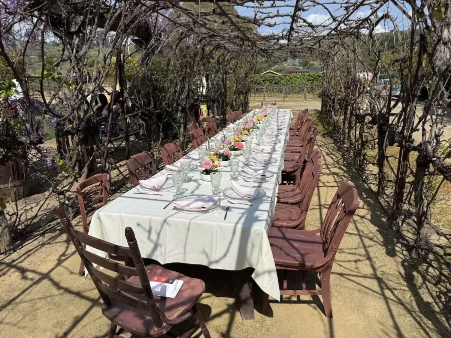 Bud-vase arrangements marching down a long table set between the vines — vineyard floral design for Morgan Hill catering and hillside weddings